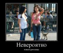 86c7d954b61c387391ae771e14fea931_88472.jpg