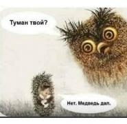 ЁЖИК И СОВА.jpg