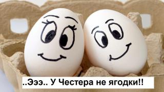 366e43236f7fa357242581abad5f01c5.jpg