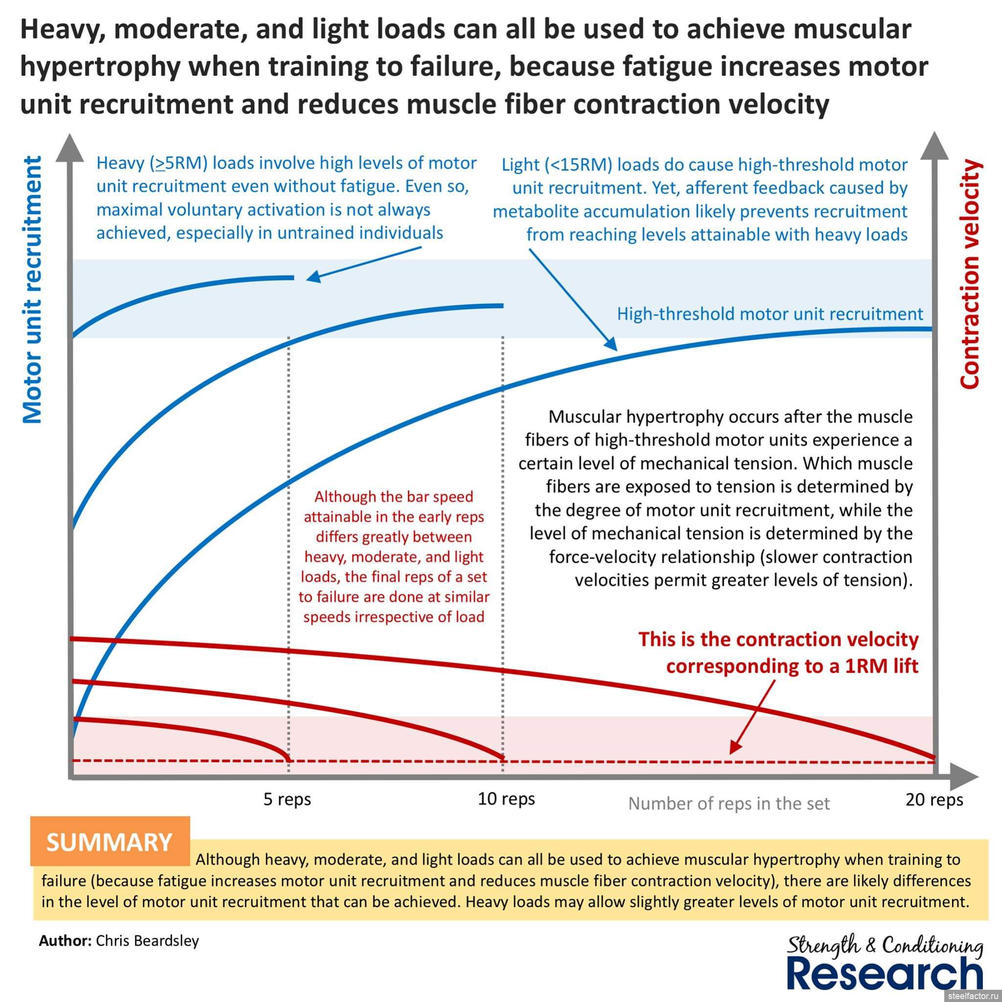 Increase level. Heavy load программа. Velocity–dependent increased muscle Tone. Muscle load. Muscle fatigue Experiment.