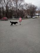 IMG_20190321_131836.jpg