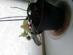 20190330_122406.jpg
