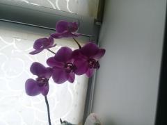 20190330_122409.jpg