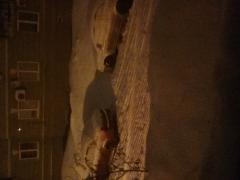20190302_045323.jpg