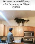 IMG-20200330-WA0011.jpg