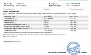 blood0403.jpg