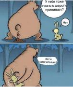 Медведь и заяц.jpg