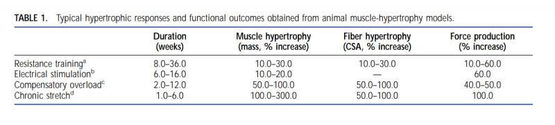 Lowe 2002_table_models_compare.jpg