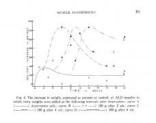 Sola 1973 - PSO Hypertrophy under denervation_003.jpg