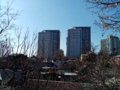 IMG_20200308_134006.jpg