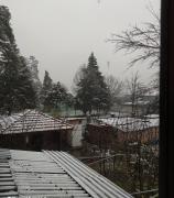 IMG_20210308_095119.jpg