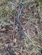 IMG_20210305_175546.jpg