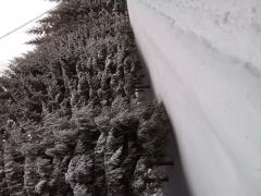 20210308_101834.jpg