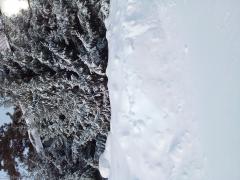 20210308_101448.jpg