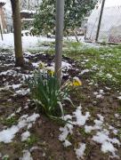 IMG_20220319_092741.jpg