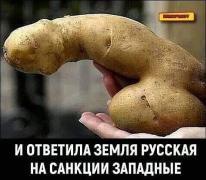 IMG-20220318-WA0000.jpg