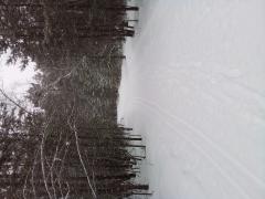 20220324_091823.jpg