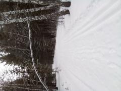20220324_101305.jpg