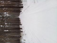 20220324_092421.jpg