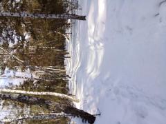 20220313_144728.jpg
