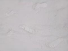 20220324_095228.jpg