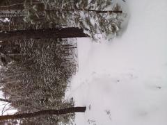 20220324_101026.jpg