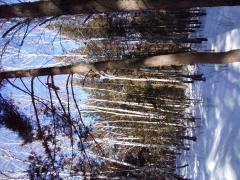 20220318_105916.jpg