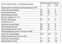 Композиция волокон дельта квадрицепс.jpg