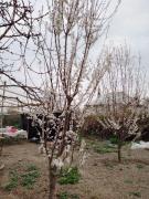 IMG_20230321_104107_414.jpg