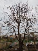 IMG_20230321_104039_346.jpg
