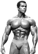 abs-8-transformed.jpeg