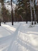 IMG_20240302_162621_870.jpg