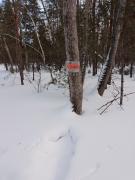 IMG_20240302_164637_579.jpg