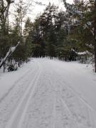 IMG_20240302_163425_638.jpg