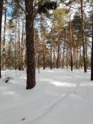 IMG_20240302_110251_914.jpg