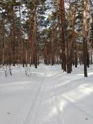 IMG_20240302_110243_044.jpg