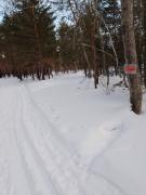 IMG_20240302_164647_409.jpg