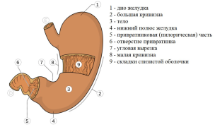 Снимок экрана 2024-03-31 в 17.55.37.png