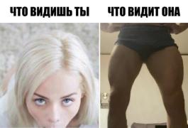 1648216413_3-kartinkof-club-p-mem-chto-vidit-on-chto-vidit-ona-3.jpg
