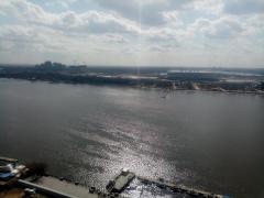 IMG_20240325_110825.jpg