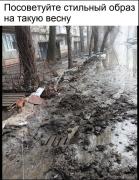 1741083703179235252.jpg