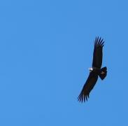 IMG_20260305_180936.jpg