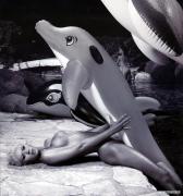 dolphin.jpg