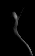 3173156_large.jpg