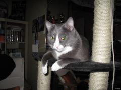 IMG_0134р.jpg
