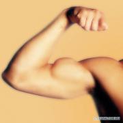 hardgainer_biceps.jpg
