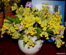 весна_009.jpg