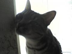 DSC00106.JPG
