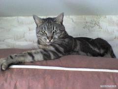 DSC00110.JPG