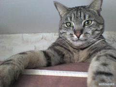 DSC00111.JPG